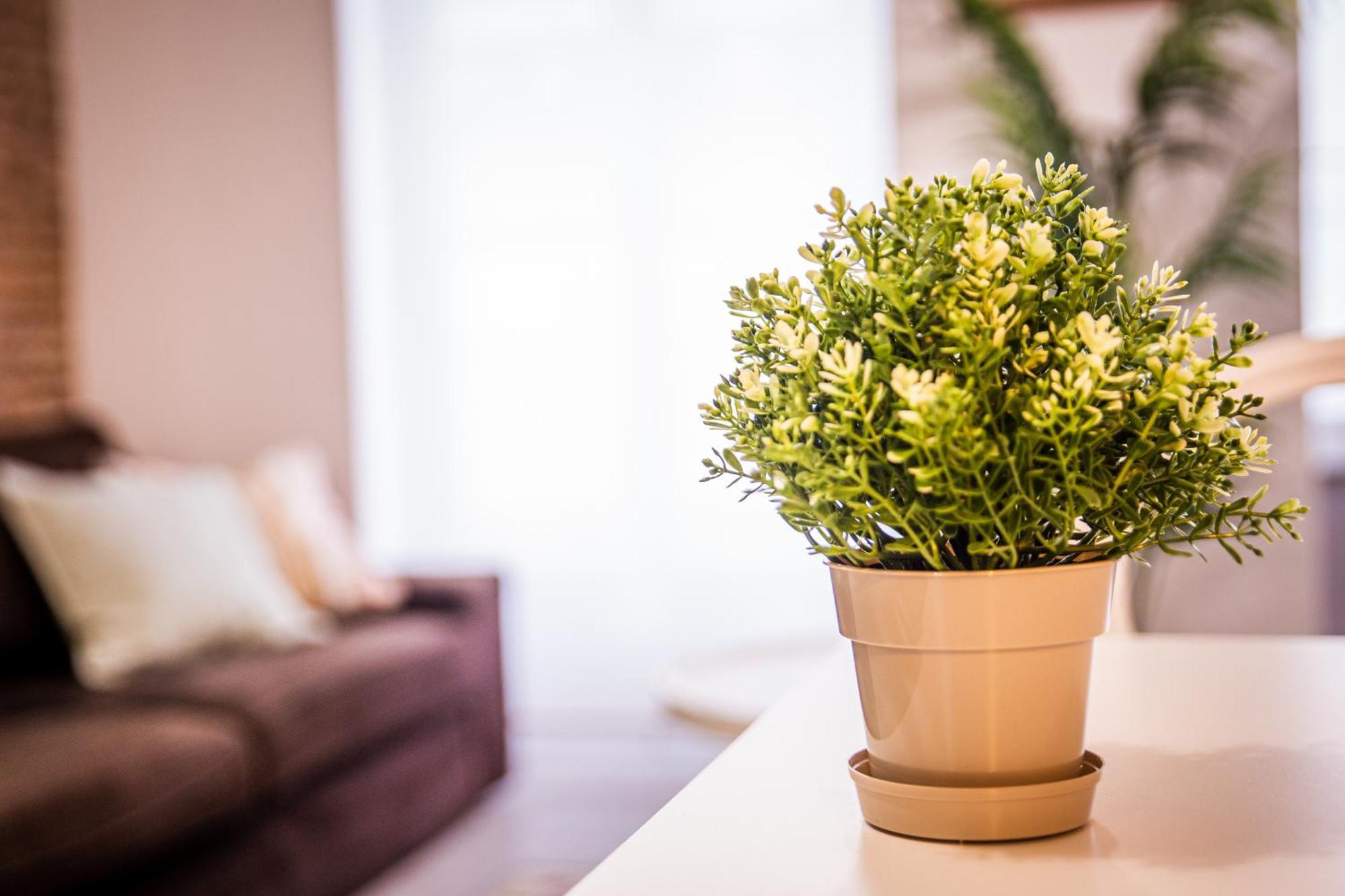 Appartement Cartagenaflats, San Francisco Carthagène